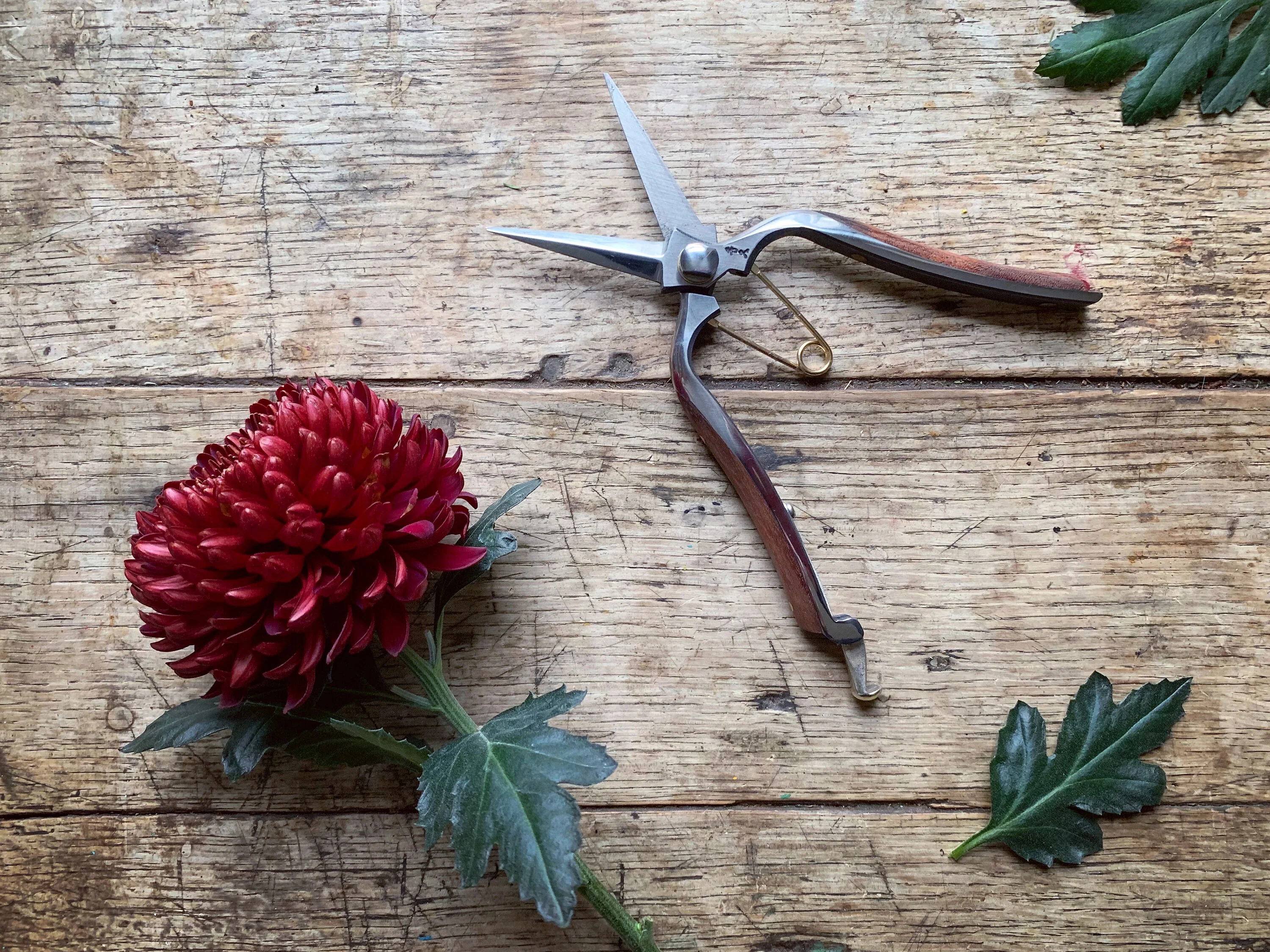 Niwaki Kurumi Pro Snips - Image 4