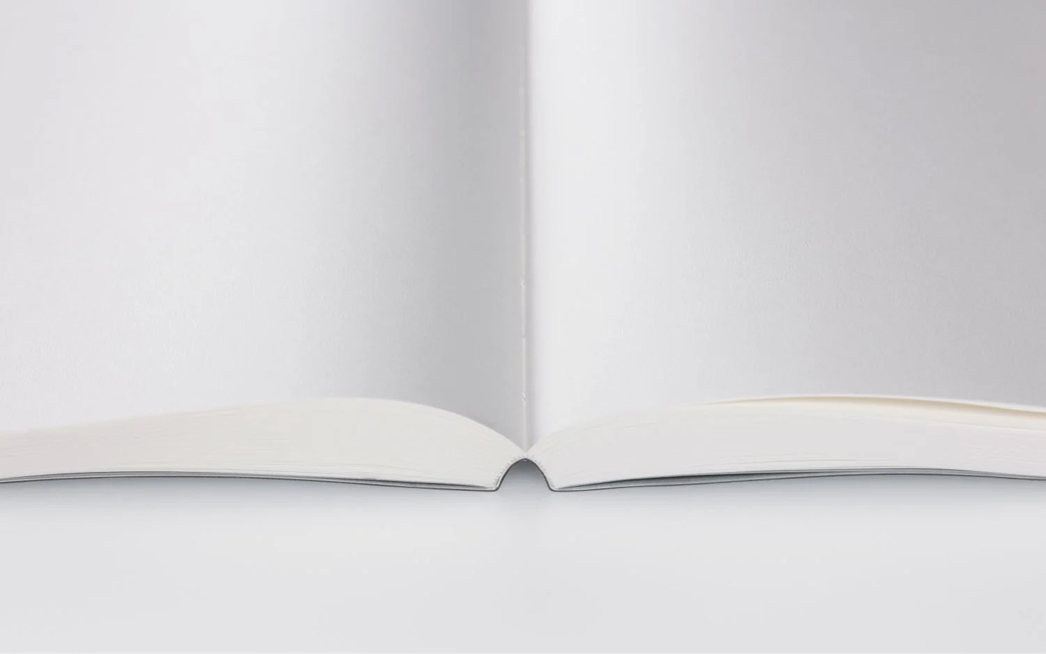 Stalogy Plain 1∕2 Year Notebook, Plain, A5, Blue - Image 4